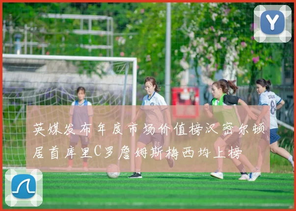 英媒发布年度市场价值榜汉密尔顿居首库里C罗詹姆斯梅西均上榜